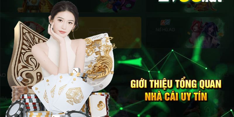 Hội viên cần nắm rõ đôi nét sơ lược về nhà cái PG88